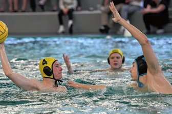 Wasserballer bleiben ohne Sieg - Für die Zwickauer Wasserballer - im Bild Vincent Walther am Ball - war am Samstag gegen den OSC Potsdam II kaum ein Durchkommen. 