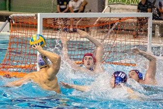 Wasserballkrimi: SVV holt zu Hause einen Punkt - Max Beuchert (am Ball) traf beim 12:12 gegen Düsseldorf drei Mal und war damit der erfolgreichste Werfer beim SVV Plauen. 