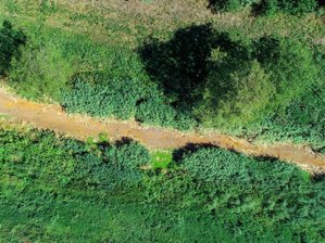 Wasserstand in Spree und Schwarzer Elster bleibt kritisch -             Ausgetrocknet ist das Flussbett der Schwarzen Elster.