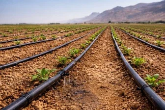 Wasserunabhängigkeit: Ein strategischer Fahrplan - GTAI