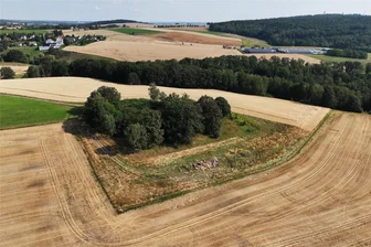 Wechselburg: Ehemaliger Steinbruch wird versteigert - Bald wird dieser ehemalige Steinbruch in Mutzscheroda versteigert.