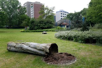 Weg am Kappelbach in Chemnitz wird barrierefrei - Grünfläche zwischen Falkeplatz und Pfortensteg.
