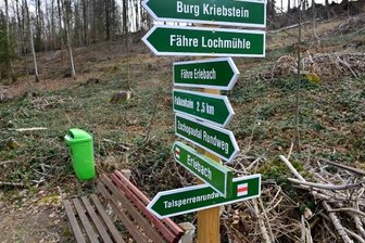 Weg gesperrt: Lieferung erfolgt per Boot - An diesem Hang in Erlebach an der Talsperre Kriebstein mussten viele Bäume gefällt werden. 