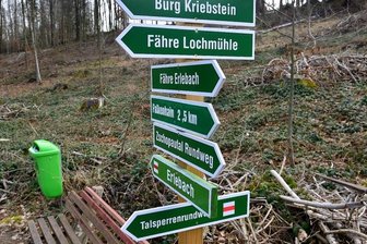 Weg gesperrt: Lieferung erfolgt per Boot - An diesem Hang in Erlebach an der Talsperre Kriebstein mussten viele Bäume gefällt werden.