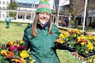 Weg mit dem miesen Wetter: In Bad Elster werden Regenschirme zu Pflanzgefäßen -