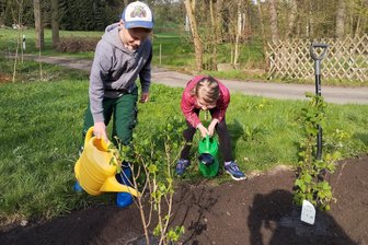 Wegen dieser Jugend von Heinsdorfergrund: „Es rufen immer wieder Leute aus ganz Deutschland an und fragen, wie wir das machen“ - Bild aus dem Vorjahr. Heinsdorfer Kinder beim Pflanzen von Naschobst-Gehölzen am Radweg.