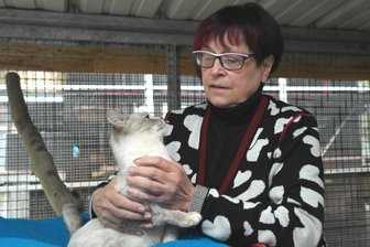 Wegen Dreharbeiten: Tierheim Leisnig bleibt geschlossen - Rosi Pfumfel wie auch das gesamte Team hoffen auf Vermittlung durch den MDR-Drehtermin.