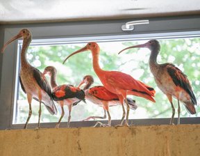 Wegen Tod von OB Jesko Vogel: Kinderfest in Limbach-Oberfrohnaer Tierpark abgesagt - 