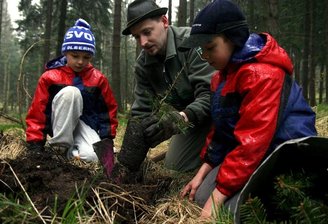 Weißtannen und Buchen bevölkern Kinderstube - 
              <p class="artikelinhalt">Hans (links) und Franz Kuner (rechts) haben am Samstag mit 20 weiteren Naturfreunden im Seiffener Grund Weißtannen gepflanzt. Bevor die beiden Jungen so richtig loslegen konnten, hat ihnen Thomas Köhler vom Forstbezirk Marienberg gezeigt, worauf sie achten müssen. "Wir haben schon mehrfach beim Pflanzen geholfen", so Hans Kuner. </p>
            