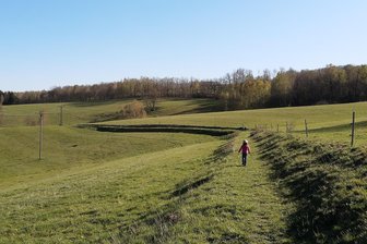 Weideland oder Solarpark? Wo nun der nächste Investor in Weißenborn bauen will (mit Grafik) - Grün, soweit das Auge reicht: Auf diesem Weideland in Berthelsdorf will ein Investor einen Solarpark bauen.