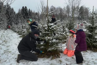 Weihnachtsbäume frisch aus dem Wald: Aktion im Sachsenforst-Revier Eich kommt bei Vogtländern an - Familie Wagner aus Neumark mit Vater Enrico, Johanna, Mutter Maria, Charlotte und Luise (von links) suchte sich am Samstag im Wald einen Weihnachtsbau aus. Die Wahl fiel auf eine Nordmanntanne.