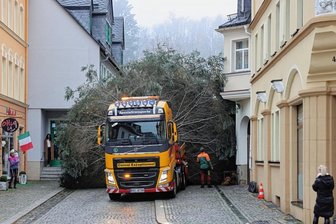 Weihnachtsbäume in Schwarzenberg und Aue sind am Montag "gelandet" -