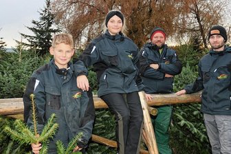 Weihnachtsbaum: Am beliebtesten sind 1,80 Meter hohe Nordmanntannen - Inhaber Marcus Roder (2. von rechts) freut sich, dass die Kinder Malte (11, links), Merle (13) und Tim (17) gern auf dem Baumplatz in Härtensdorf mit zupacken. Malte und Merle können sich sogar vorstellen, den Charlottenhof später einmal zu übernehmen. 
