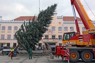 Weihnachtsbaum auf dem Hauptmarkt steht - Die gut 19 Meter hohe Colorado-Tanne war bei einer Online-Abstimmung ausgewählt worden.