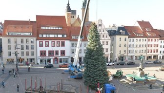 Der Stamm der 16 Meter hohen Tanne wird auf den richtigen Durchmesser gebracht, bevor sie aufgestellt werden kann.