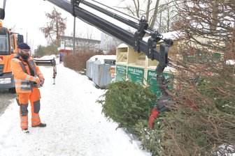 Weihnachtsbaum entsorgen in Freiberg: Wann und wo es möglich ist - 