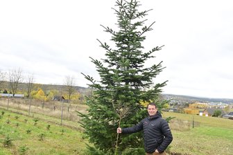 Weihnachtsbaum ersteigert: Hier holt Schönecks Bürgermeister sein Prachtexemplar ab - 
