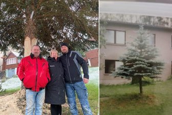 Weihnachtsbaum für Mittweida: "Hüttler" nehmen Abschied von ihrer Blaufichte -
