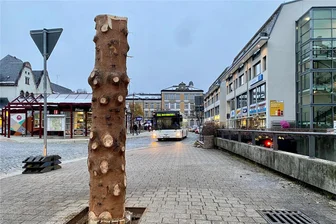 Weihnachtsbaum im Erzgebirge gefällt: Was Auer zum „Weihnachtsstumpf“ am Postplatz sagen - Das bleibt nun vom Weihnachtsbaum in Aue: der "Weihnachtsstumpf" am Postplatz.