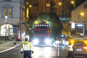 Weihnachtsbaum in Aue aufgestellt -