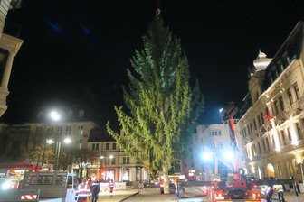 Weihnachtsbaum in Aue aufgestellt - Steht seit Mittwoch am Altmarkt: der Weihnachtsbaum