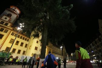 Weihnachtsbaum in Chemnitz aufgestellt - Besucher bekunden Solidarität mit Frankreich -