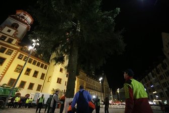 Weihnachtsbaum in Chemnitz aufgestellt - Besucher bekunden Solidarität mit Frankreich -
