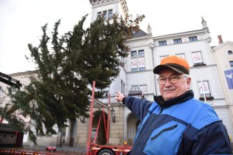 Weihnachtsbaum in Oelsnitz aufgestellt: Es ist wohl der kleinste Baum der letzten Jahre - Uwe Pretscheck aus Oelsnitz hat den Weihnachtsbaum in diesem Jahr gesponsert.