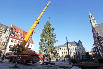Weihnachtsbaum in Zwickau aufgestellt -