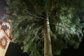 Weihnachtsbaum kommt am Samstag - So sah der Chemnitzer Weihnachtsbaum 2015 aus.