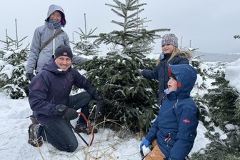 Weihnachtsbaum selbst schlagen - in Sachsen hält der Trend an - 