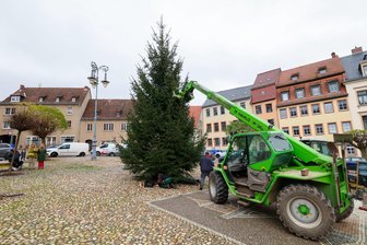 Weihnachtsbaum steht seit Montag auf dem Markt in Waldenburg: Wann ziehen Glauchau und Meerane nach? - Der Weihnachtsbaum steht seit Montag auf dem Markt in Waldenburg.