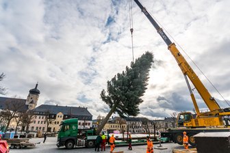 Weihnachtsbaum und Eisarena läuten Adventszeit ein - Der Weihnachtsbaum wird auf dem Marienberger Markt gesetzt.