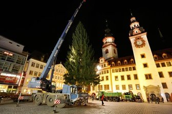 Weihnachtsfichte in Chemnitz aufgestellt -