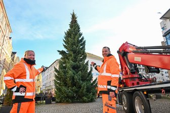 Weihnachtsmärkte, Adventsfeste und Pyramiden: Wo man im Chemnitzer Umland feiern kann - Der Weihnachtsbaum ist am Mittwoch auf dem Johannisplatz in Limbach-Oberfrohna angekommen. Bauhof-Mitarbeiterin Katrin Kretzschmar und Kollege Nico Brendel zeigen das Prachtstück. Der Weihnachtsmarkt findet vom 6. bis 8. Dezember statt.
