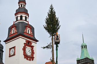 Weihnachtszeit in Chemnitz zu Ende: Was wird aus dem Weihnachtsbaum? - Gerupft: Der Chemnitzer Weihnachtsbaum ist Geschichte.
