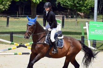 Weil der Verein in der Pandemie weiterlief: Reit- und Fahrverein Seelitz gewinnt Preisgeld - Der vom Reit- und Fahrverein organisierte Geschicklichkeitswettbewerb mit Schulpferden stellt die Ausbildung von Reiterinnen und Reitern in den Vordergrund. 