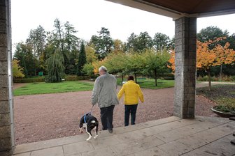 Weil sonst Bürokratie droht: Werdau bleibt ohne Baumschutzsatzung - Die Stadt sorgt wie hier am Pavillon im Bereich an den Teichen für mehr Grün – und zwar durch Ersatzpflanzungen. Dennoch haben sich die Stadträte mehrheitlich gegen eine Baumschutzsatzung ausgesprochen.
