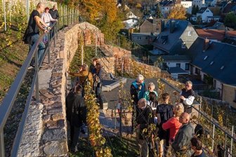 Weinberg lockt Hunderte Besucher an - Vom herbstlichen Weinberg bot sich ein prächtiger Blick über die Stadt.