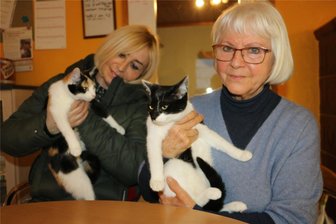 Weischlitzer Tierschützer fordern Kastrationspflicht für Katzen - Antje Haubold und Christine Krause (rechts) mit zwei Samtpfötchen.