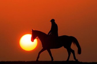 Weißbach: Vier Verletzte bei Reitunfall - 