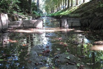 Weiße Elster fließt wieder: Schäden im Gewässerbett in Bad Elster behoben - Das sanierte Flussbett der Weißen Elster in Bad Elster.