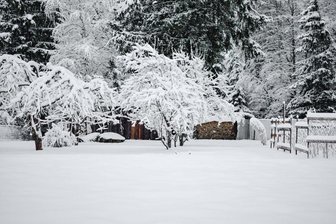 Weiße Weihnachten in Sachsen - nicht ganz auszuschließen.