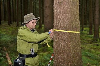 Weit mehr als nur Bäume-Zählen: Der Vogtlandwald unter der Lupe - Neben viel Technik gibt es zum Daten-Sammeln auch Klassiker wie das Maßband, mit dem Forstwirt Steffen Hilpert den Baumdurchmesser ermittelt.