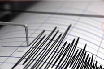 Weitere Erdstöße am Freitagmittag: Beben vielerorts im Vogtland deutlich spürbar - Der Seismograph hat am Donnerstagabend ein Erdbeben der Stärke 2,4 aufgezeichnet.