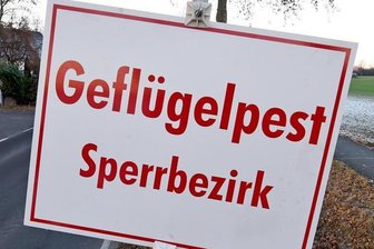 Weitere Vogelgrippe-Fälle in Mittelsachsen und im Vogtland -