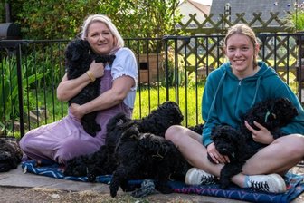 Welpen-Glück in Mittelsachsen: Puli-Hündin gelingt der ganz große Wurf - Großes Gewusel gibt es bei Puli-Züchterin Heide Dathe in Rüx, wo sich zurzeit 13 Welpen tummeln. Für die Züchterin, ihre Tochter Katharina-Charlotte und die Familie ist es eine große Freude und reichlich Arbeit. 