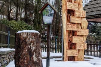 Welterbe-Topf für neue Vorhaben 2022 gut gefüllt - Aus dem sogenannten Kleinprojektefonds des Welterbevereins sind im vergangenen Jahr verschiedene Vorhaben realisiert worden. Dazu gehört die Skulptur Hammerlinde am Frohnauer Hammer. 