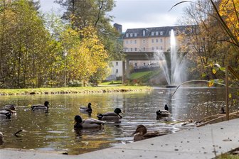 Weltkindertag: Verein im Erzgebirge stellt großes Fest für Knirpse auf die Beine - Waldschlösschenpark im Stadtteil Buchholz verwandelt sich am Freitag in ein Spielparadies für Kinder.