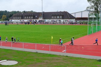 Weltkindertag: Vereine laden in Hainichen zum Mitmachen ein - Im Sportforum Hainichen gibt es am Mittwoch zum Weltkindertag viel Mitmach-Angebote.